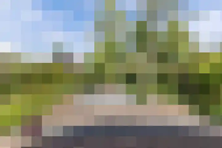 Sydwende 68 Drachten thumbnail 51
