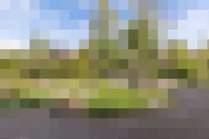 Sydwende 68 Drachten thumbnail 52