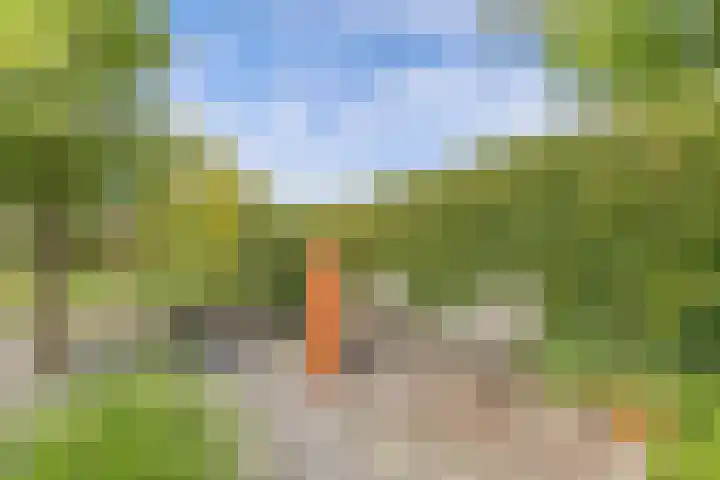Sydwende 68 Drachten thumbnail 56