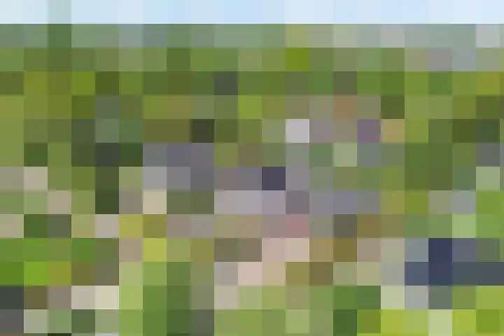 Sydwende 68 Drachten thumbnail 60