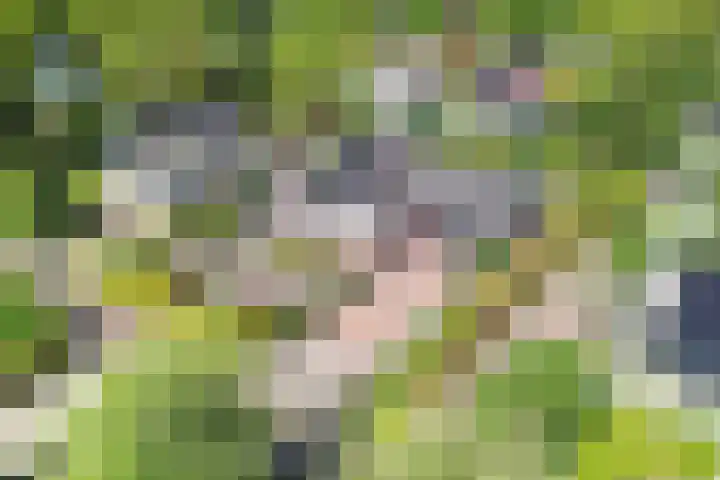 Sydwende 68 Drachten thumbnail 63
