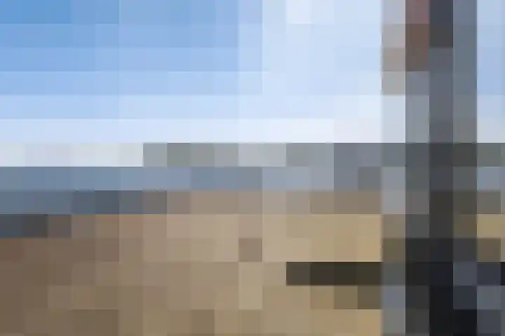 Syl 1000 Terherne thumbnail 10