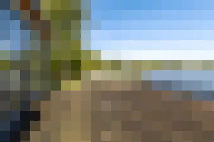 Syl 1000 Terherne thumbnail 11