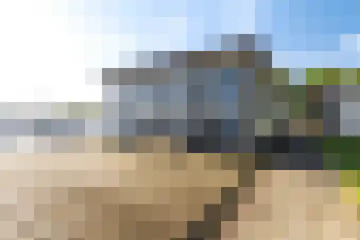 Syl 1000 Terherne thumbnail 12