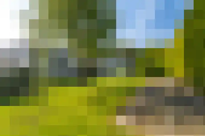 Syl 1000 Terherne thumbnail 13