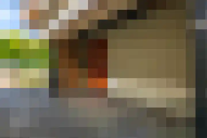 Syl 1000 Terherne thumbnail 15