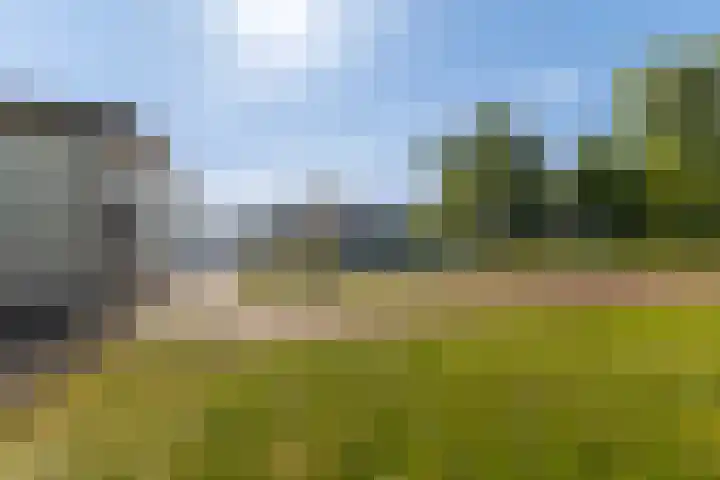 Syl 1000 Terherne thumbnail 17
