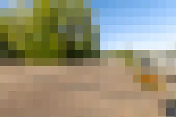 Syl 1000 Terherne thumbnail 22