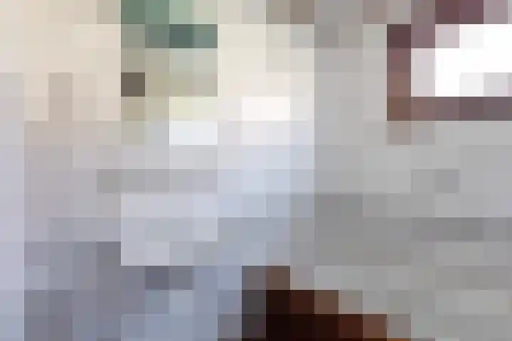 Syl 1000 Terherne thumbnail 33