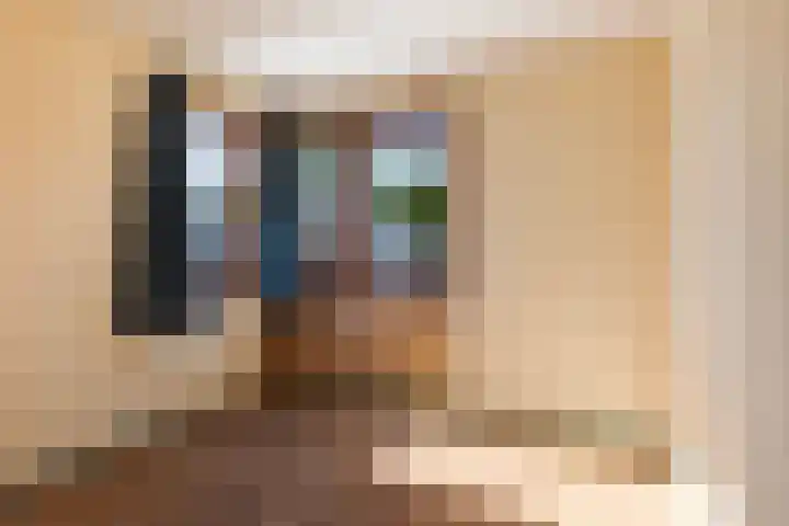 Syl 1000 Terherne thumbnail 37
