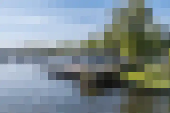 Syl 1000 Terherne thumbnail 9