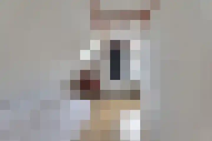 Sylspaed 16 Workum thumbnail 21