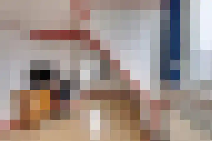 Sylspaed 16 Workum thumbnail 22