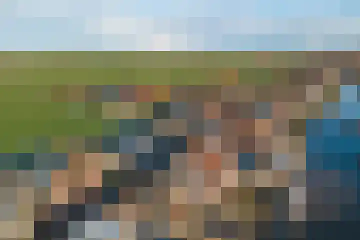 Sylspaed 16 Workum thumbnail 31