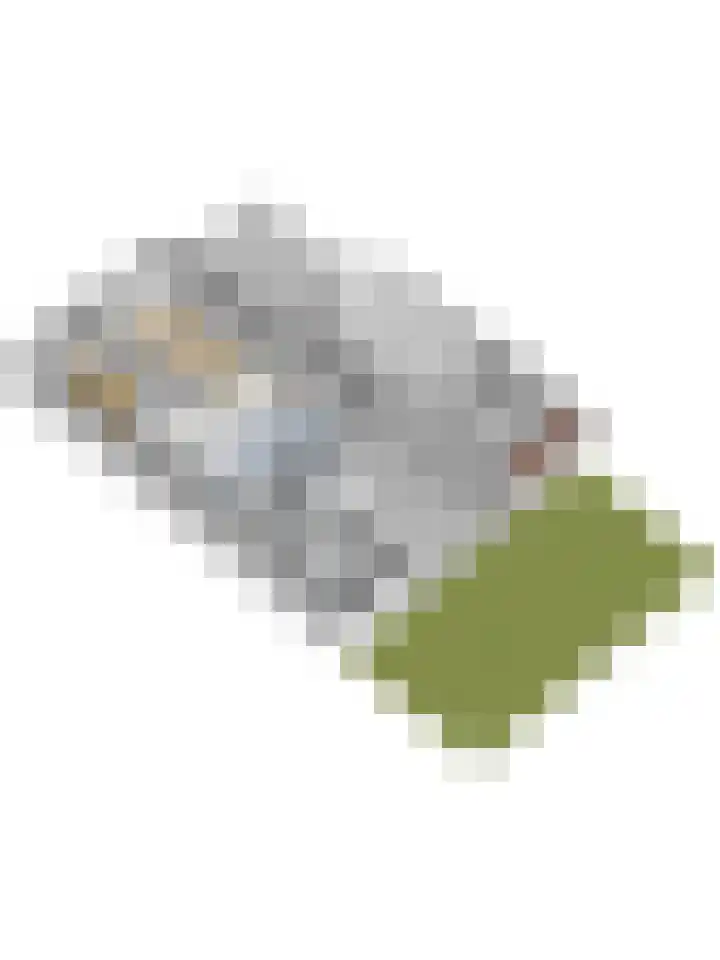 Sylspaed 16 Workum thumbnail 41
