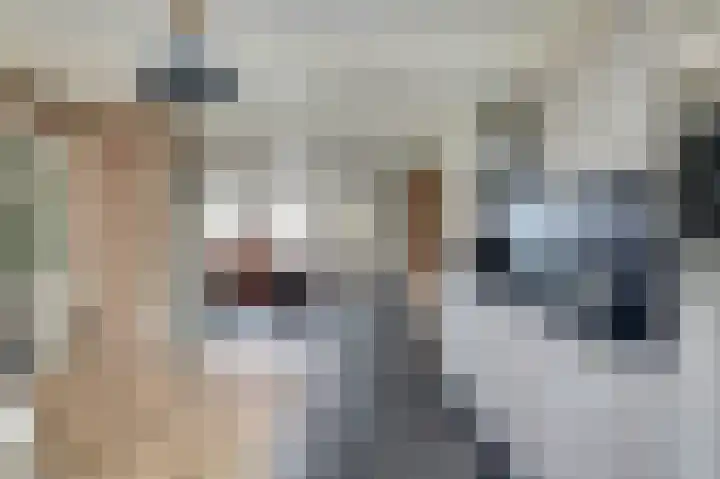 Sylspaed 31 Workum thumbnail 11