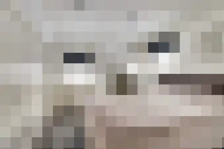 Sylspaed 31 Workum thumbnail 13