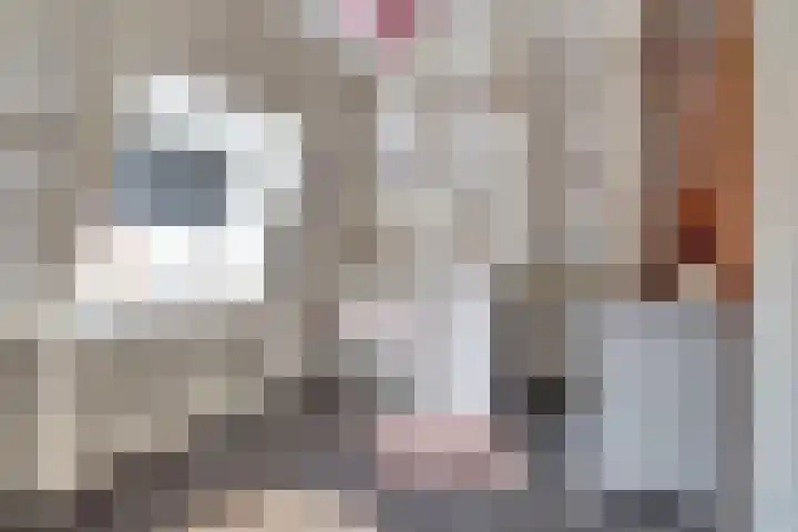 Sylspaed 31 Workum thumbnail 14
