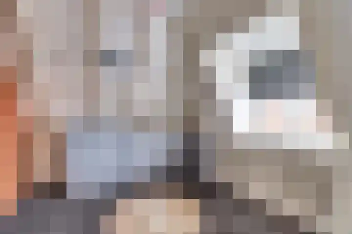 Sylspaed 31 Workum thumbnail 15
