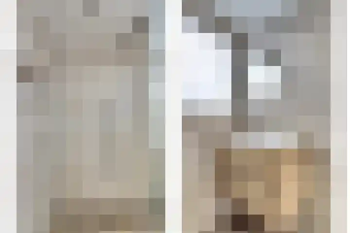 Sylspaed 31 Workum thumbnail 17
