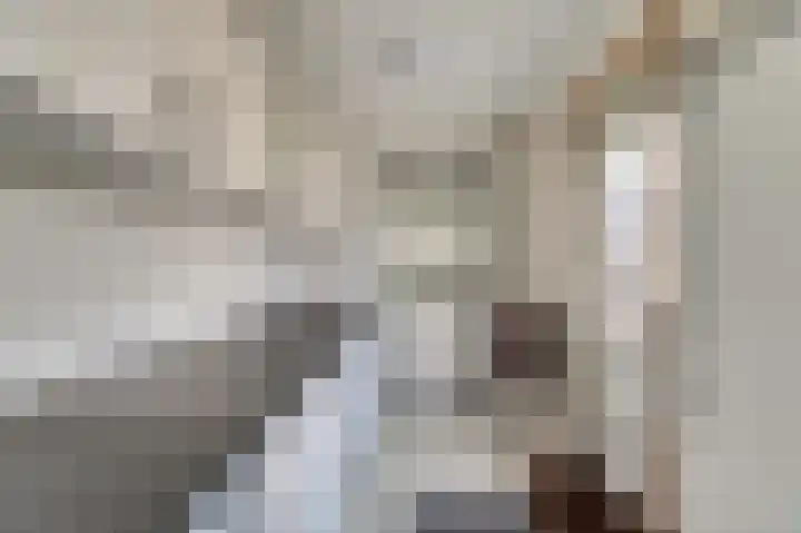 Sylspaed 31 Workum thumbnail 18