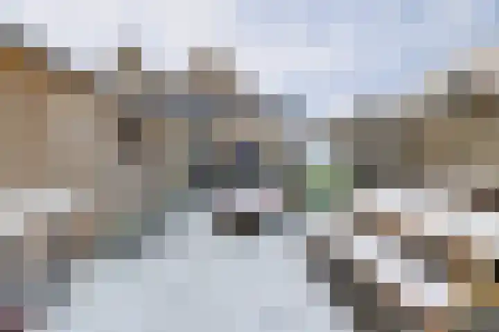 Sylspaed 31 Workum thumbnail 19