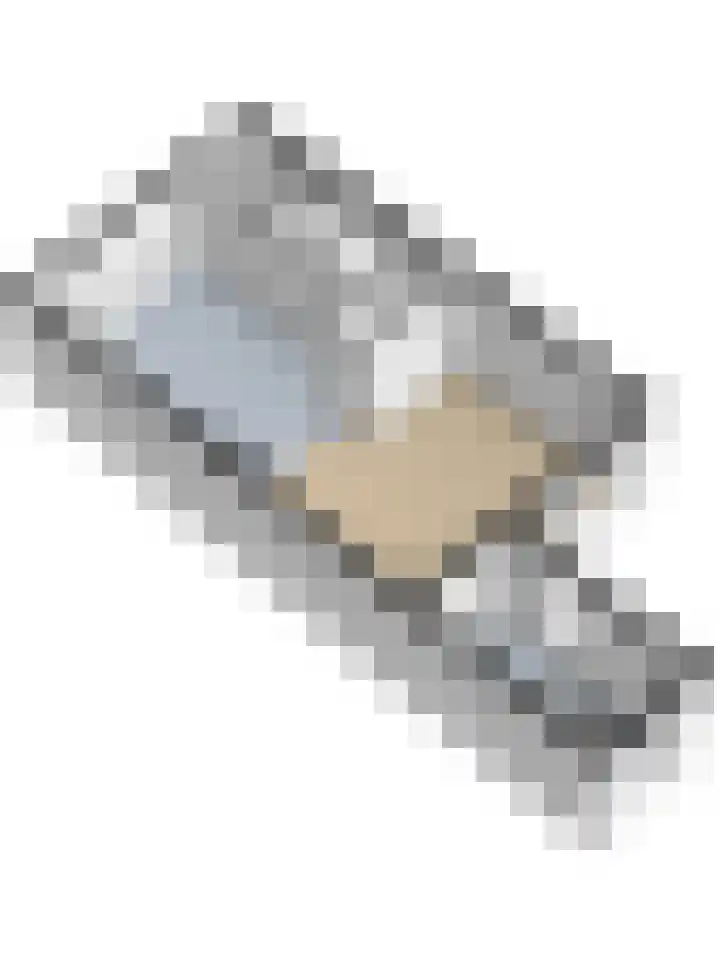Sylspaed 31 Workum thumbnail 31