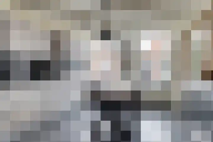 Sylspaed 31 Workum thumbnail 4