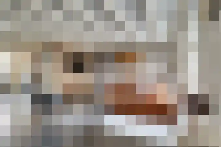 Sylspaed 31 Workum thumbnail 6