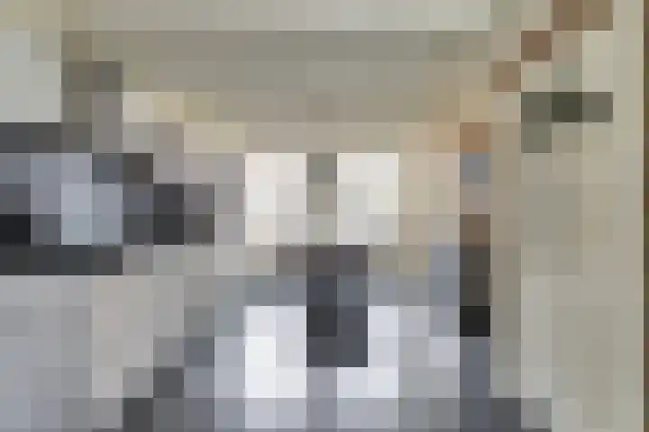 Sylspaed 31 Workum thumbnail 8