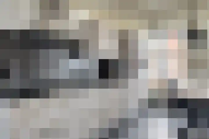 Sylspaed 31 Workum thumbnail 9