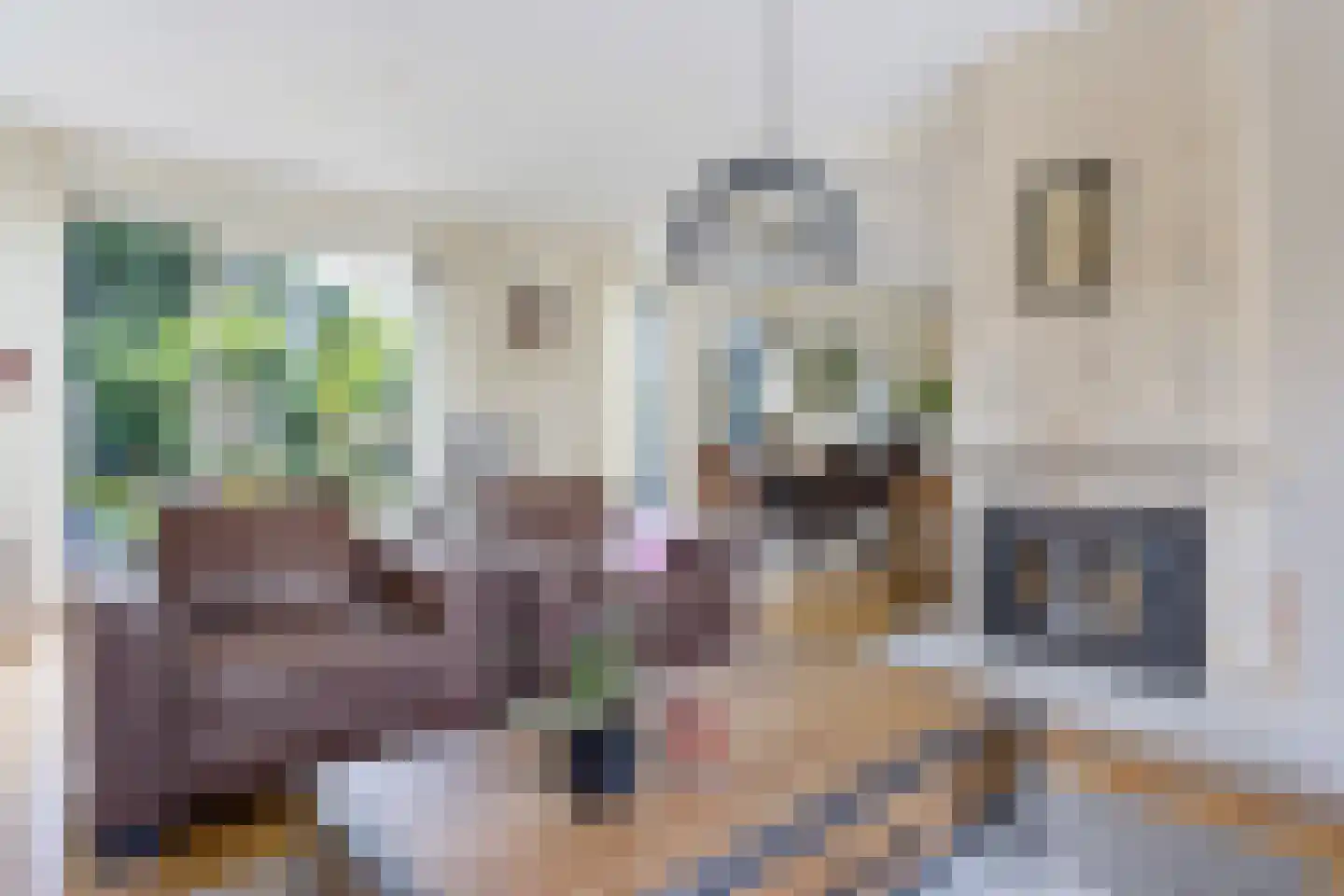 Sylsterhoeke 1 Raerd thumbnail 10