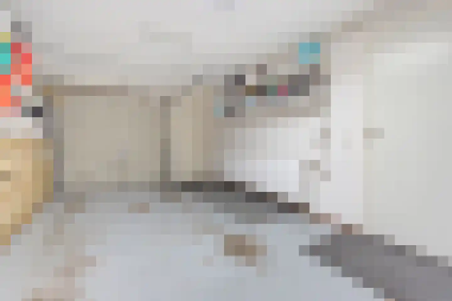 Sylsterhoeke 1 Raerd thumbnail 17