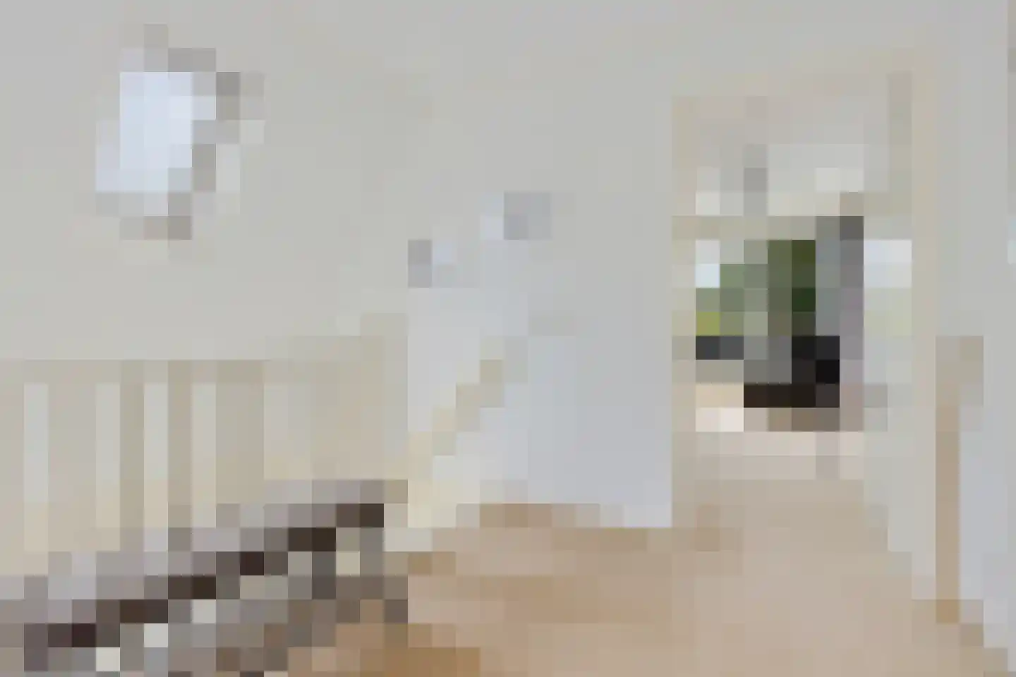 Sylsterhoeke 1 Raerd thumbnail 20