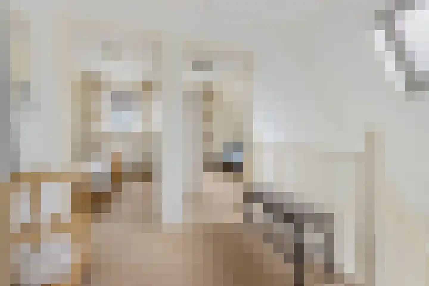 Sylsterhoeke 1 Raerd thumbnail 21
