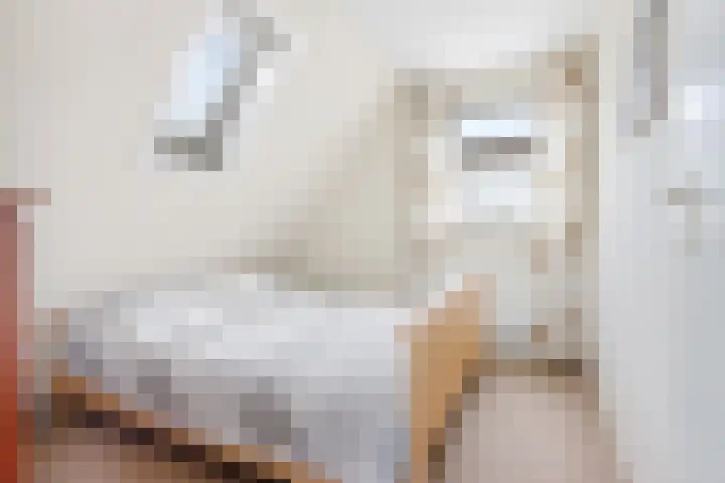 Sylsterhoeke 1 Raerd thumbnail 22