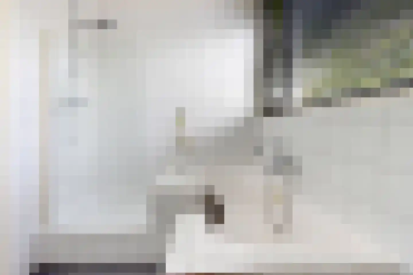 Sylsterhoeke 1 Raerd thumbnail 26