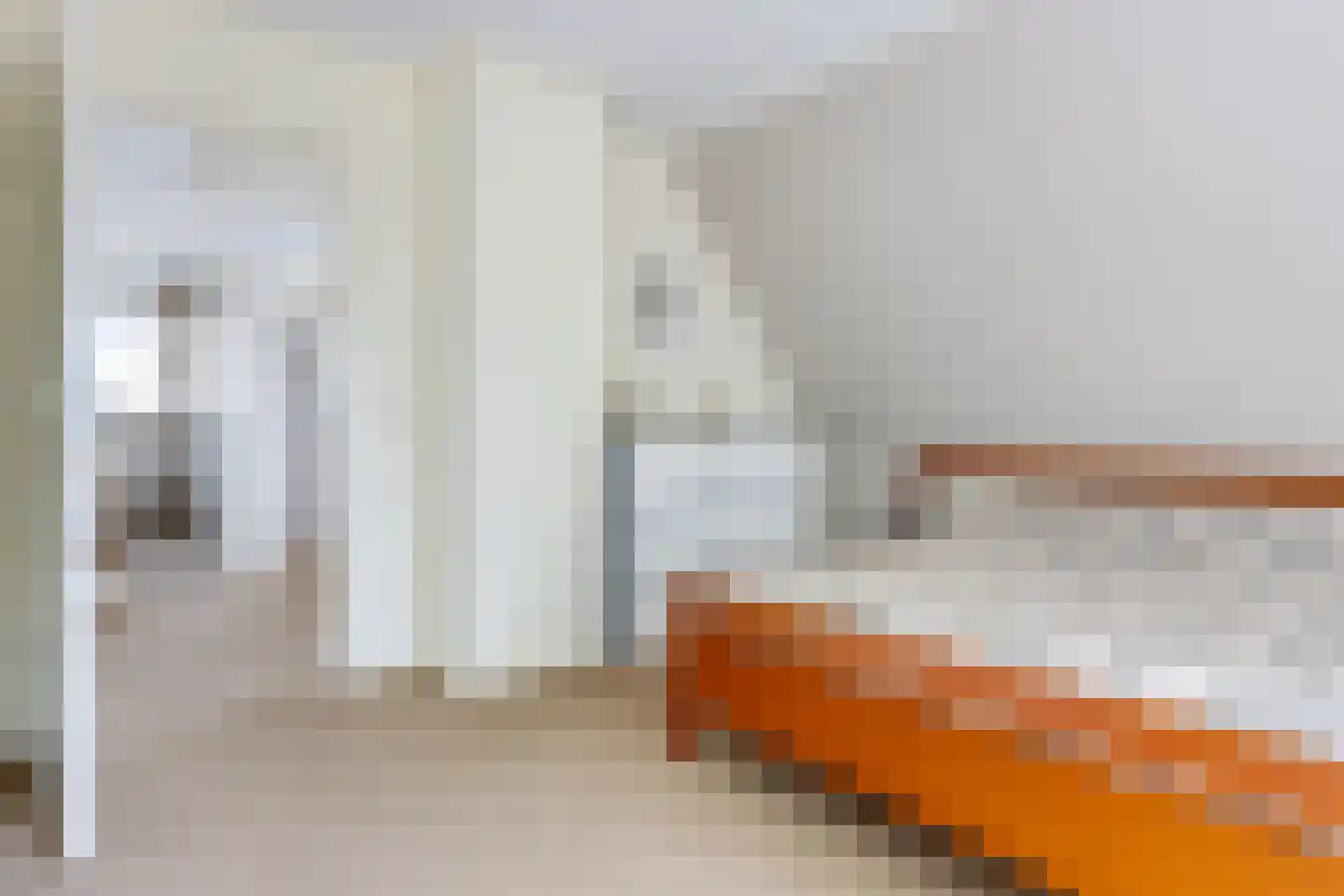 Sylsterhoeke 1 Raerd thumbnail 27