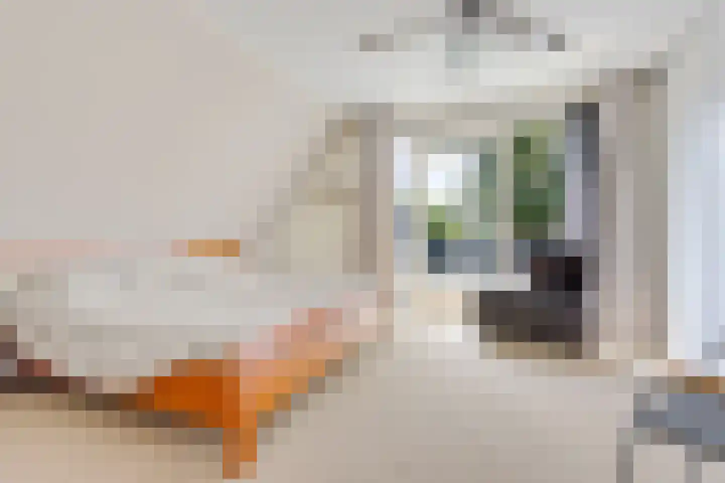 Sylsterhoeke 1 Raerd thumbnail 28