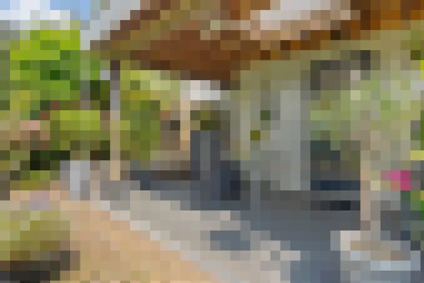 Sylsterhoeke 1 Raerd thumbnail 33