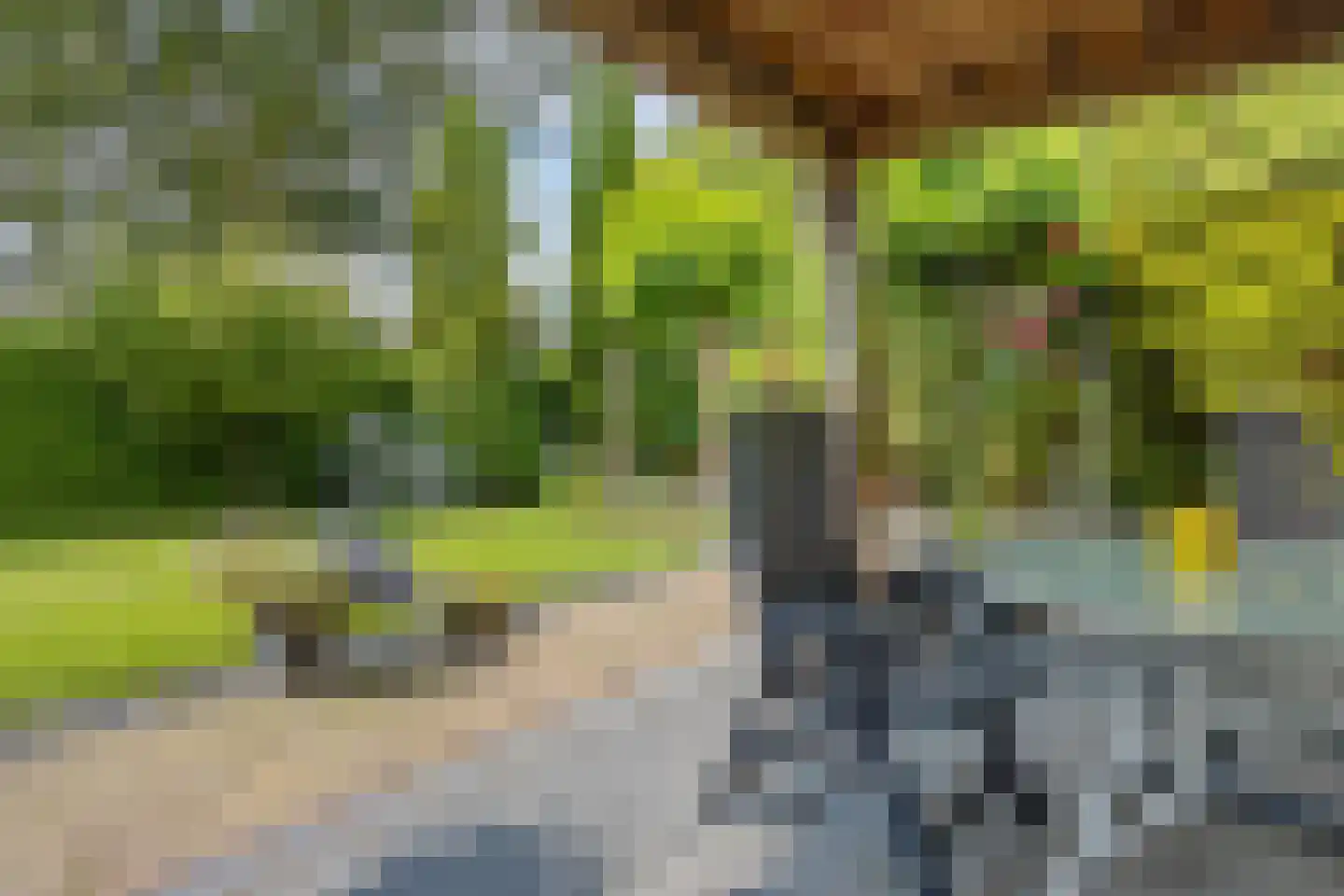 Sylsterhoeke 1 Raerd thumbnail 34
