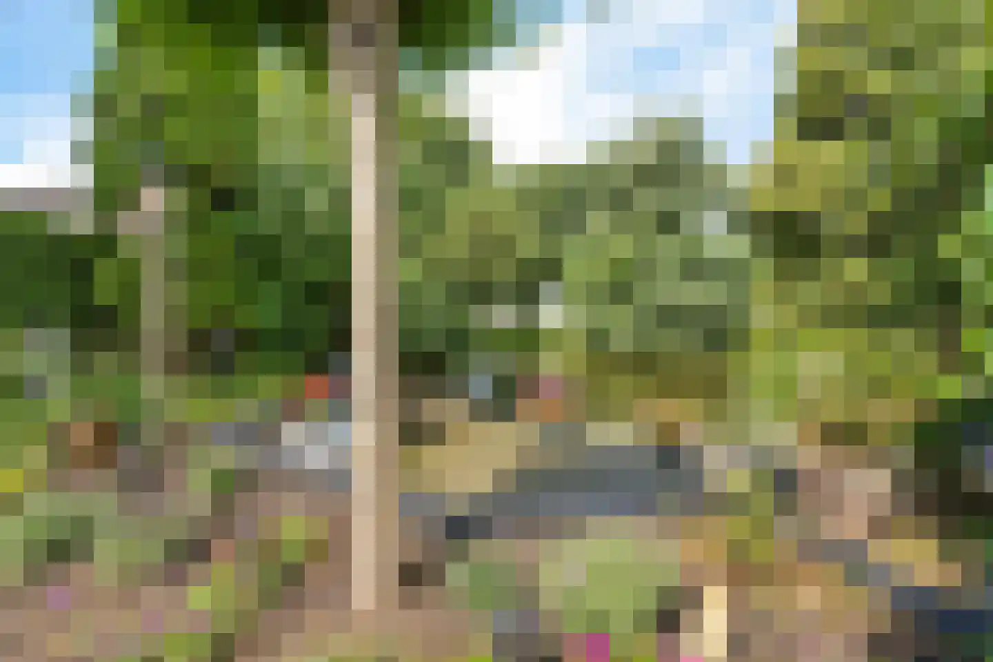 Sylsterhoeke 1 Raerd thumbnail 36
