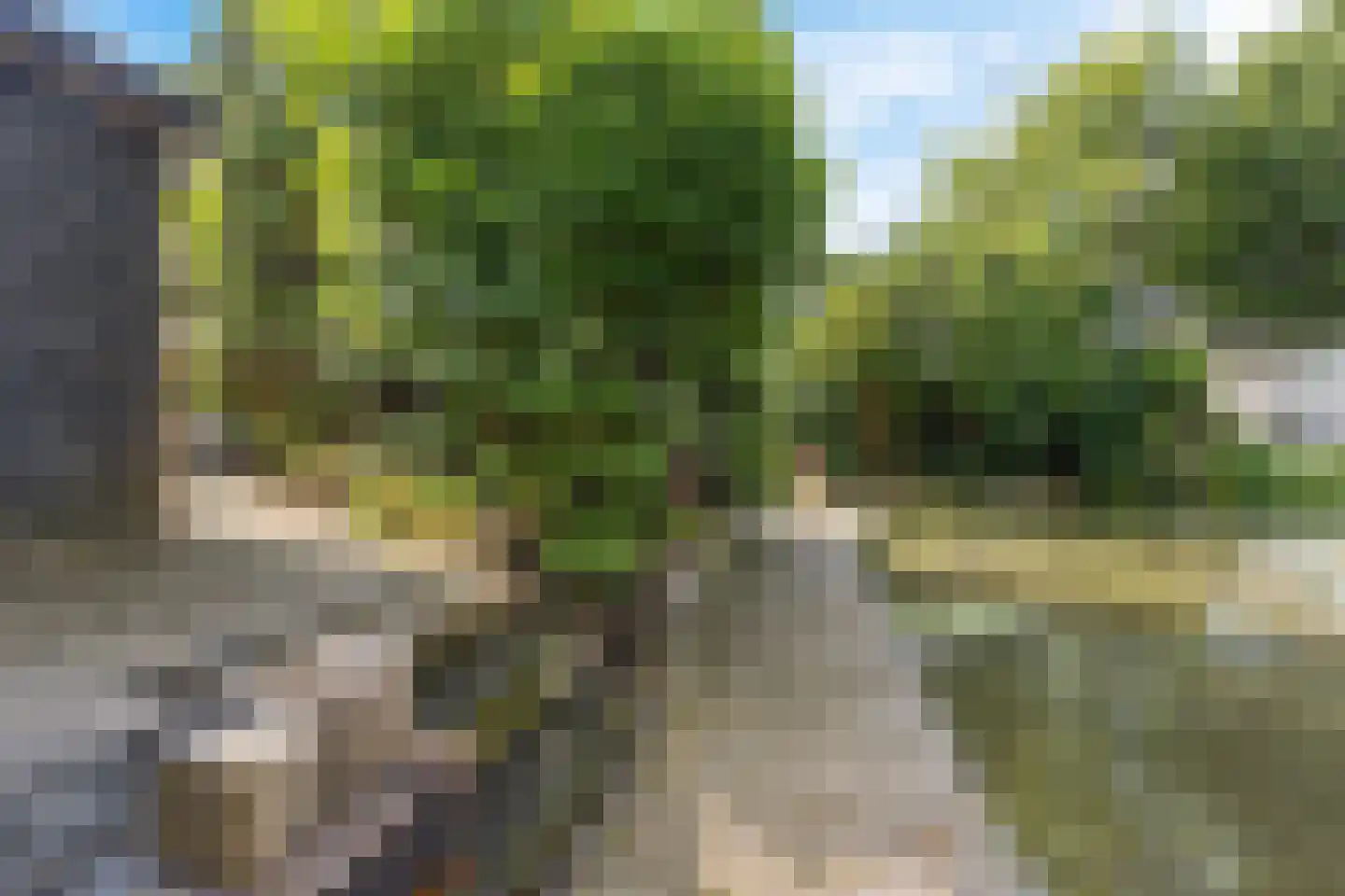 Sylsterhoeke 1 Raerd thumbnail 37