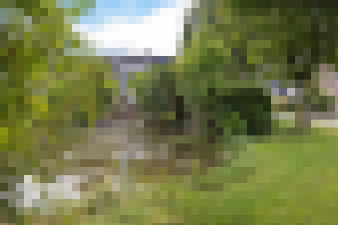 Sylsterhoeke 1 Raerd thumbnail 41