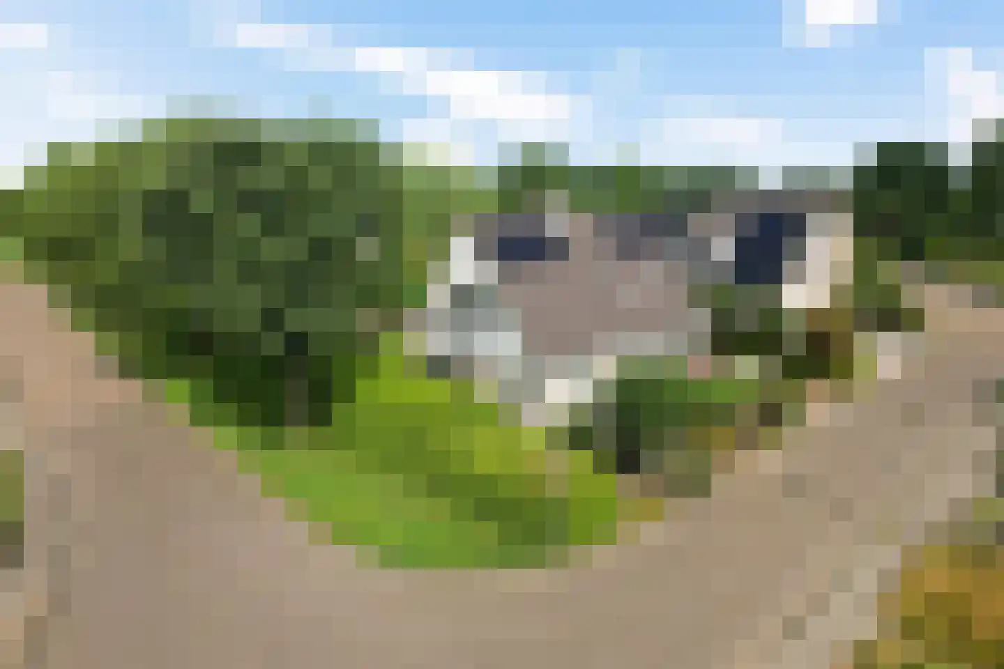 Sylsterhoeke 1 Raerd thumbnail 5