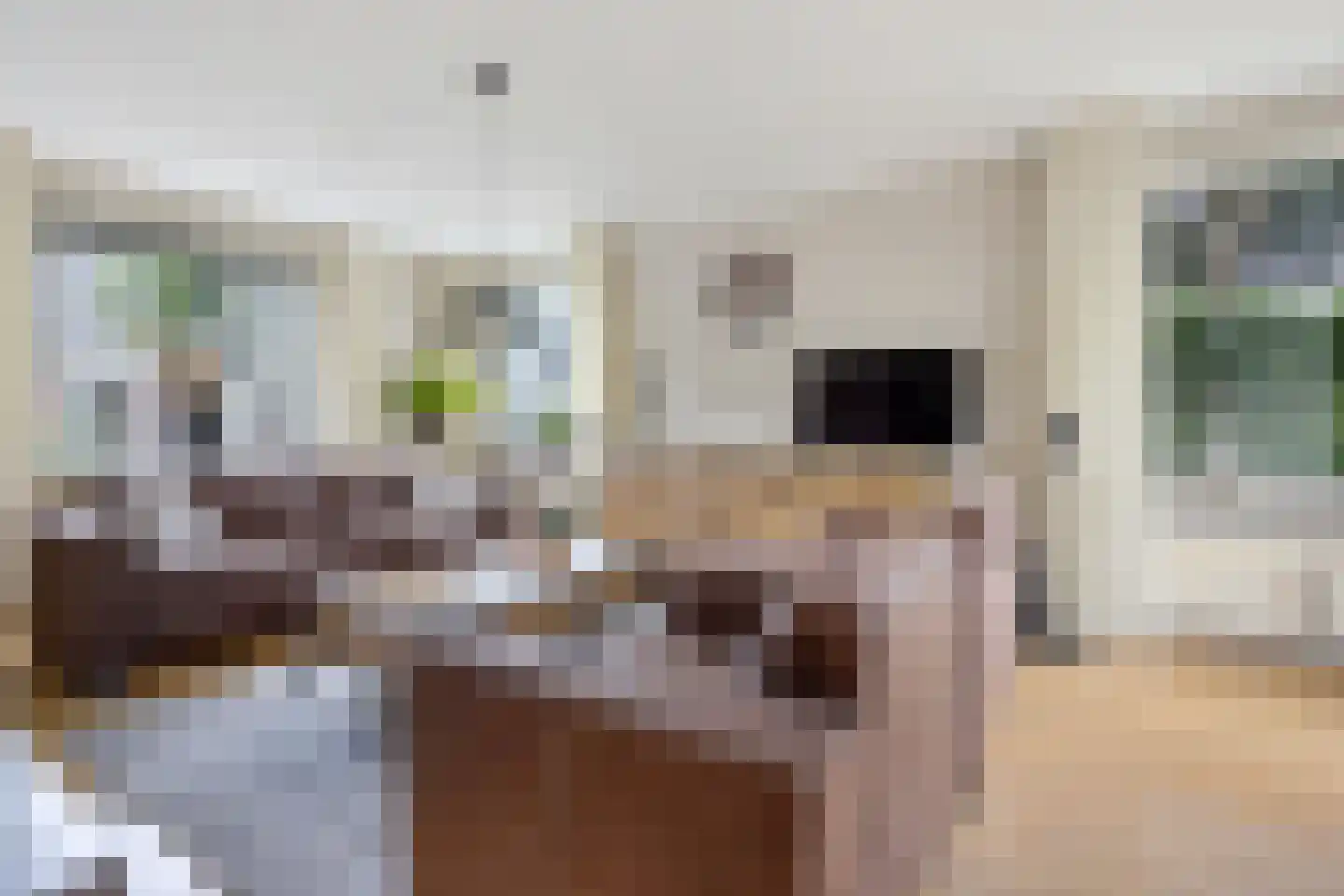 Sylsterhoeke 1 Raerd thumbnail 9