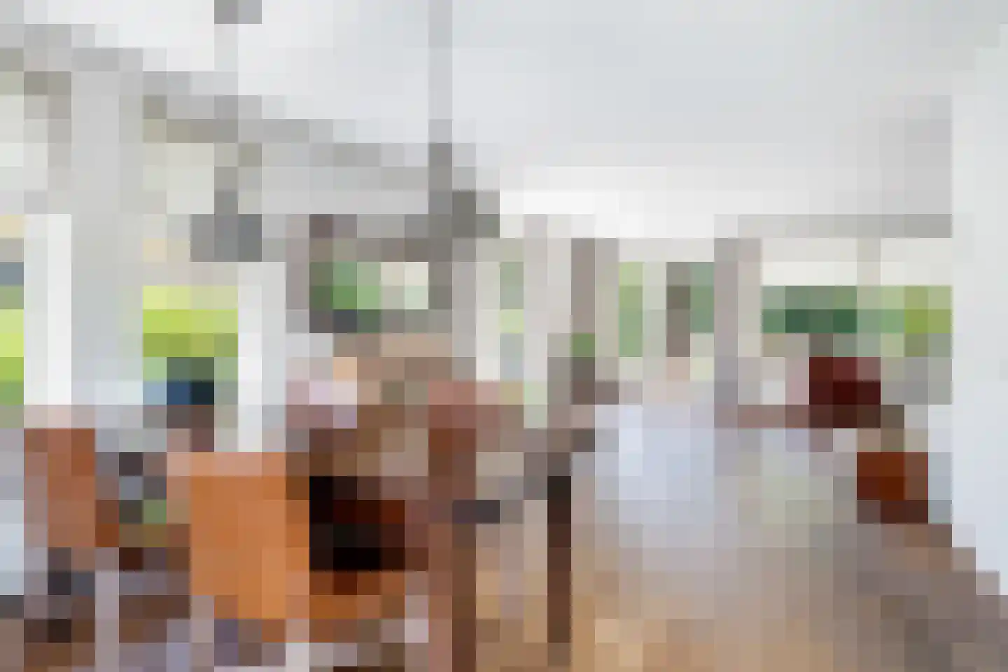 Sylsterhoeke 5 Raerd thumbnail 10