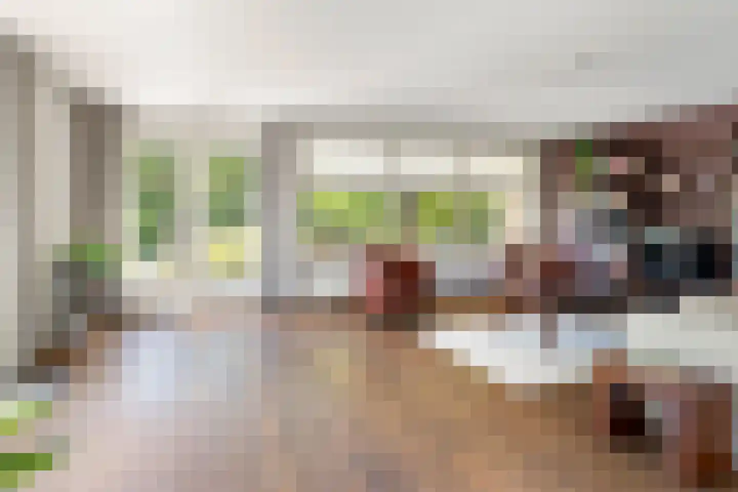 Sylsterhoeke 5 Raerd thumbnail 11