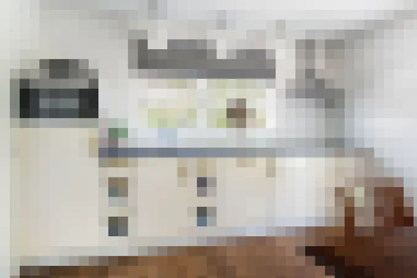 Sylsterhoeke 5 Raerd thumbnail 16