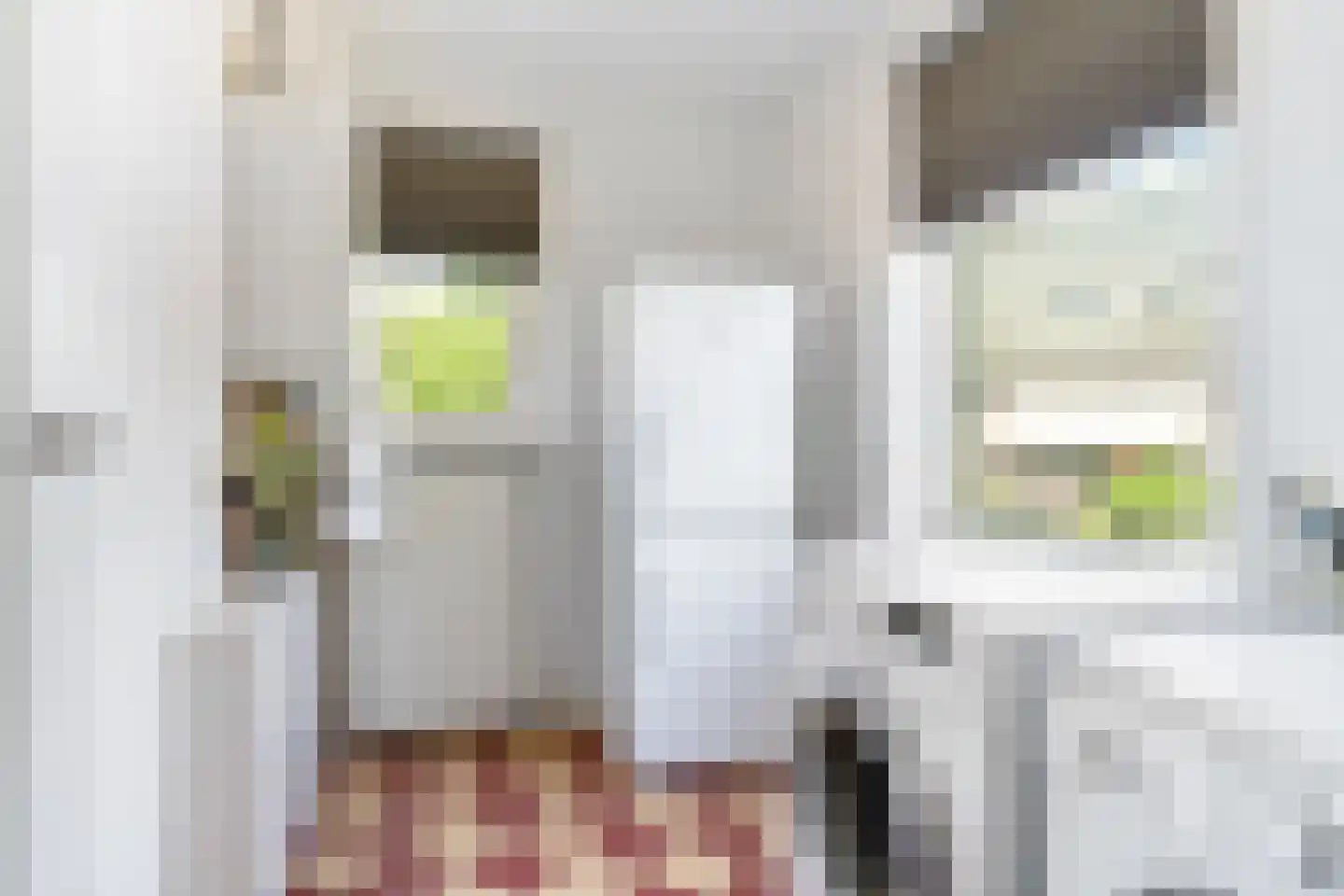 Sylsterhoeke 5 Raerd thumbnail 17